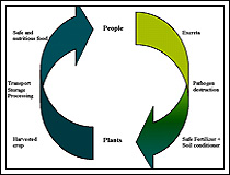 Concept of Ecological Sanitation